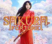 Sakura Fortune